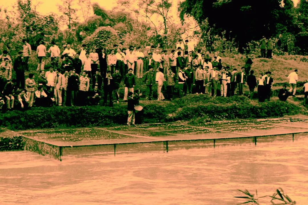 Bevictor伟德官网-韦德(中国)体育-伟大始于1946