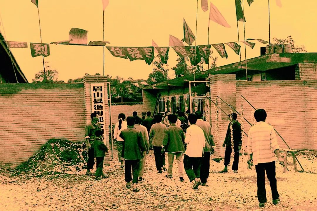 Bevictor伟德官网-韦德(中国)体育-伟大始于1946