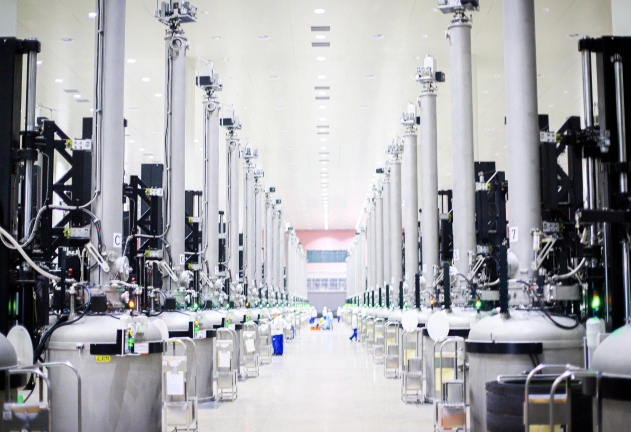 Bevictor伟德官网-韦德(中国)体育-伟大始于1946