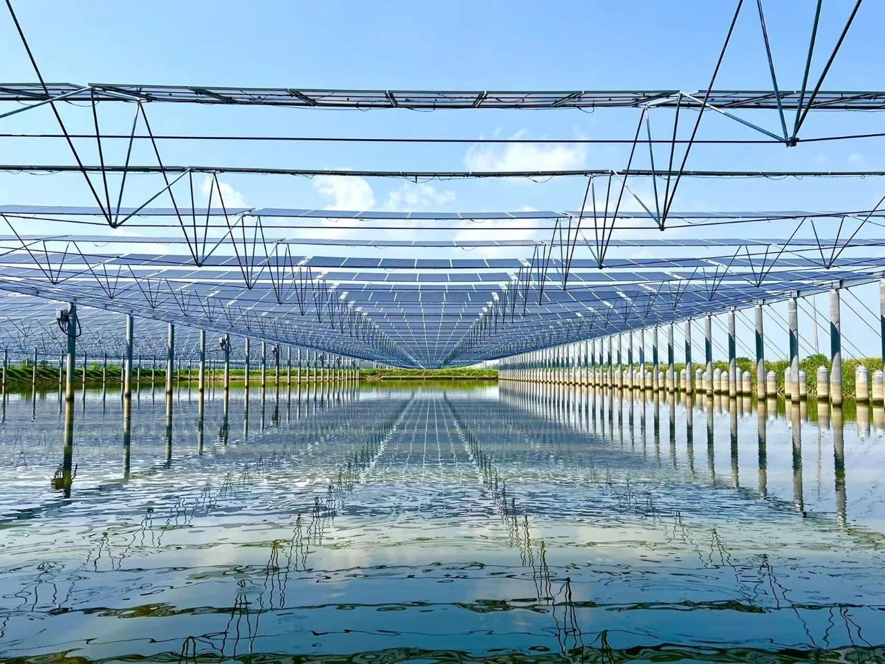 Bevictor伟德官网-韦德(中国)体育-伟大始于1946