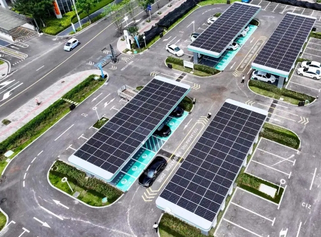 Bevictor伟德官网-韦德(中国)体育-伟大始于1946