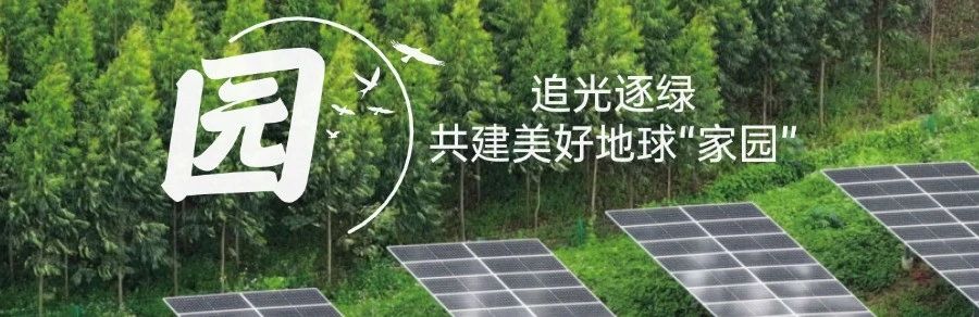 Bevictor伟德官网-韦德(中国)体育-伟大始于1946