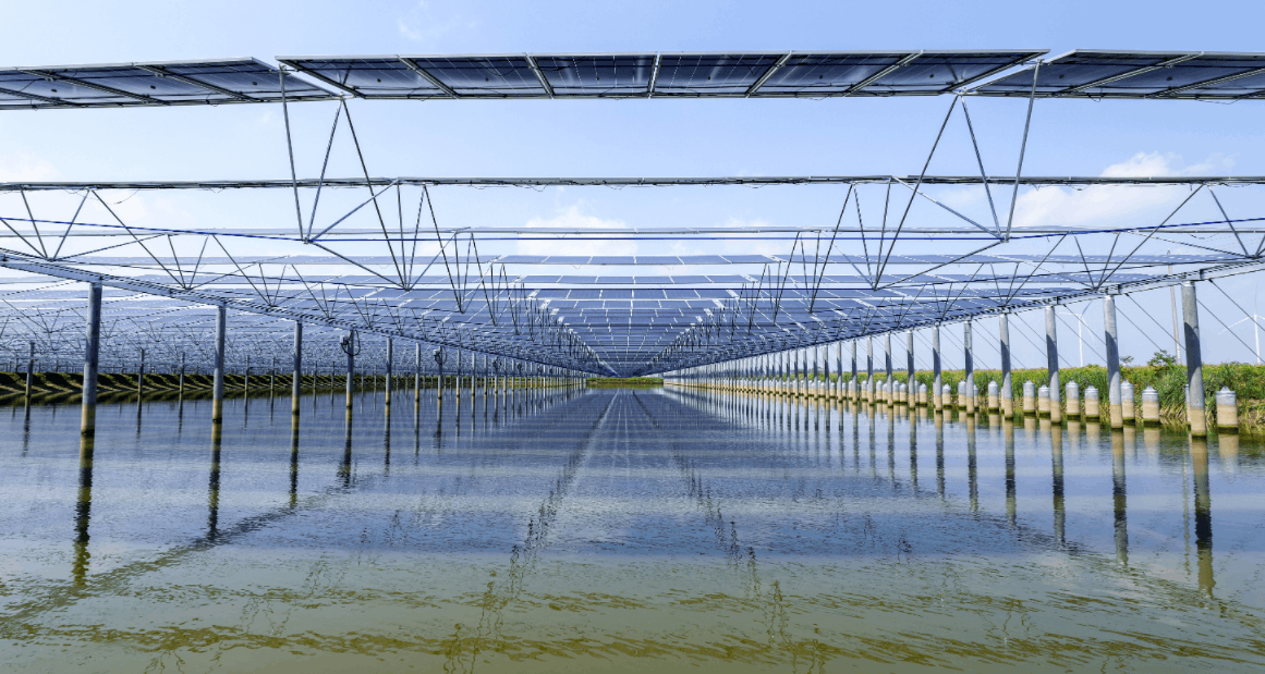 Bevictor伟德官网-韦德(中国)体育-伟大始于1946