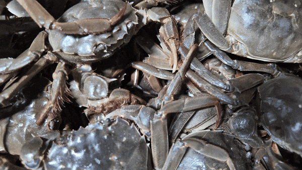 Bevictor伟德官网-韦德(中国)体育-伟大始于1946