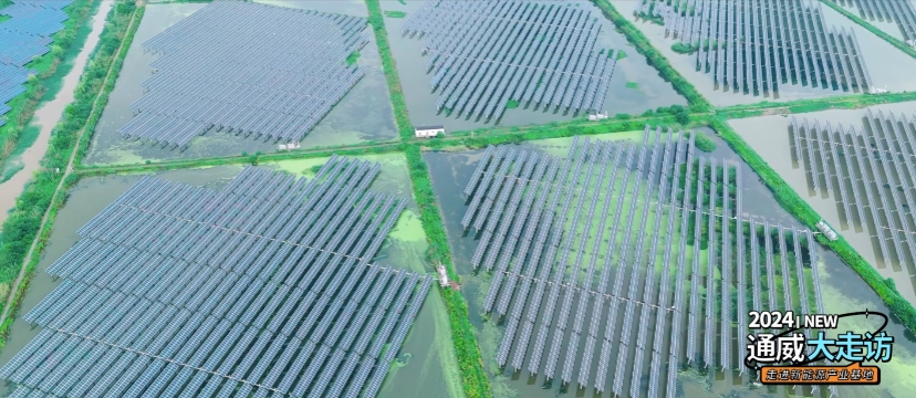 Bevictor伟德官网-韦德(中国)体育-伟大始于1946