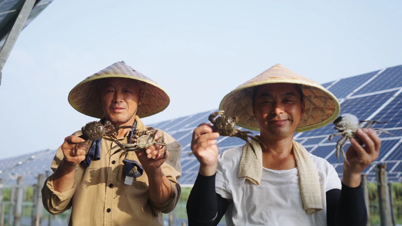 Bevictor伟德官网-韦德(中国)体育-伟大始于1946