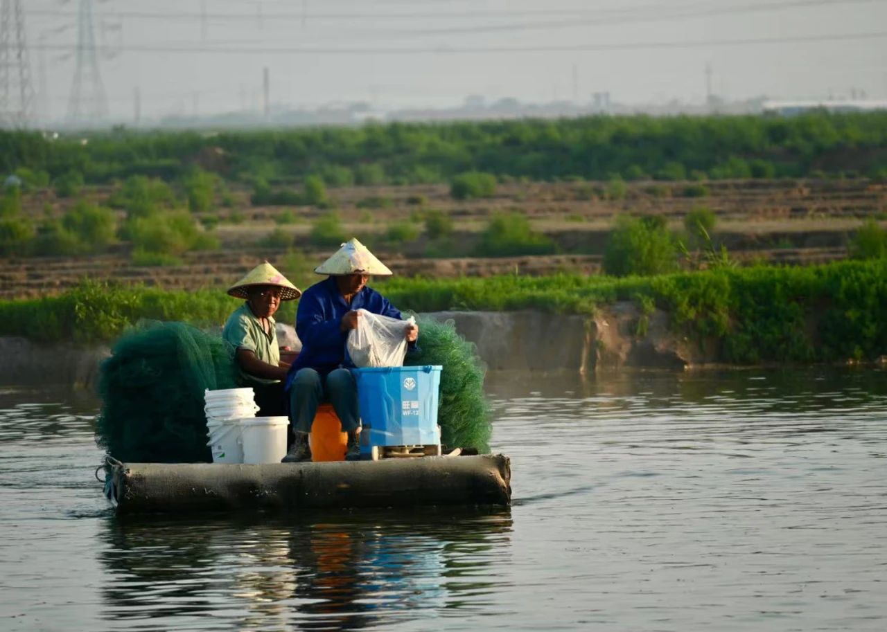 Bevictor伟德官网-韦德(中国)体育-伟大始于1946