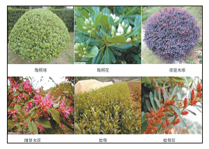 Bevictor伟德官网-韦德(中国)体育-伟大始于1946