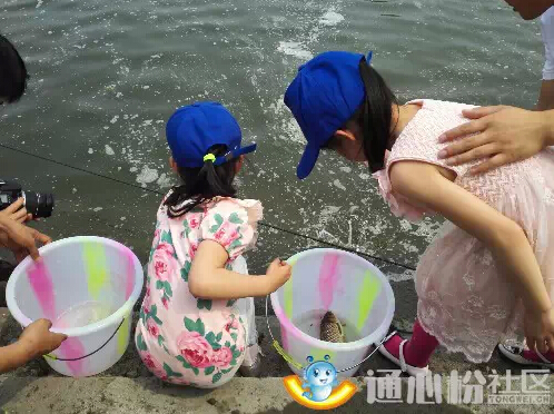 Bevictor伟德官网-韦德(中国)体育-伟大始于1946