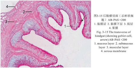 Bevictor伟德官网-韦德(中国)体育-伟大始于1946