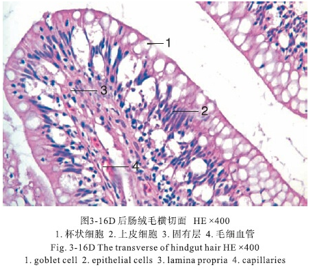 Bevictor伟德官网-韦德(中国)体育-伟大始于1946
