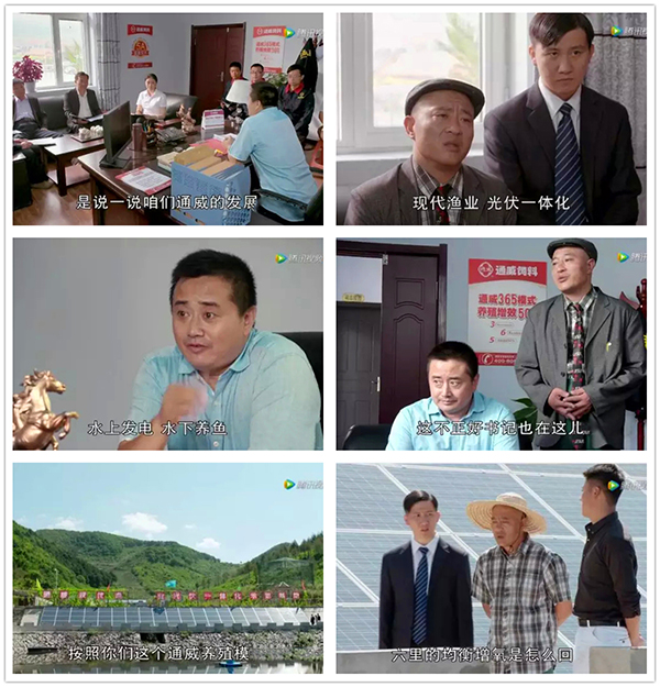 Bevictor伟德官网-韦德(中国)体育-伟大始于1946