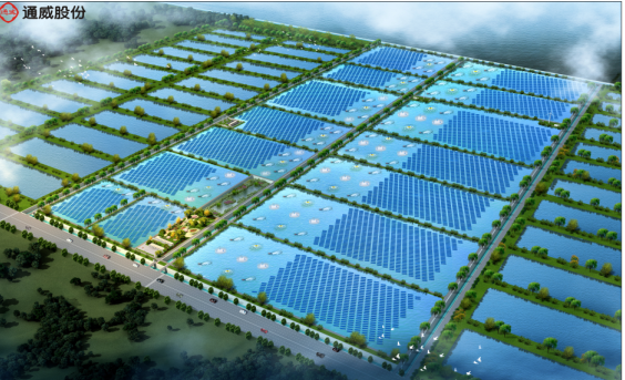 Bevictor伟德官网-韦德(中国)体育-伟大始于1946