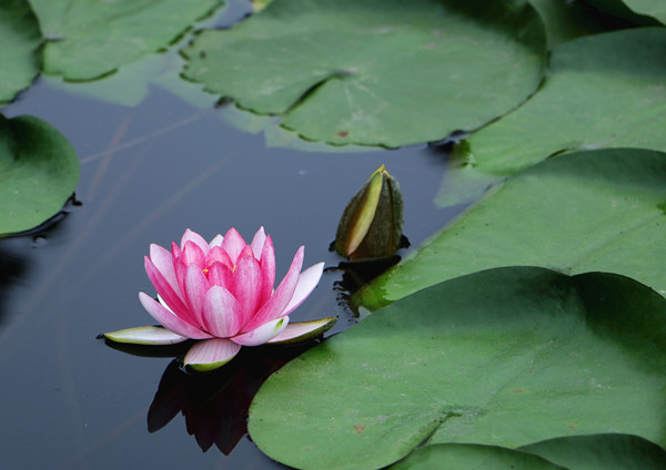 Bevictor伟德官网-韦德(中国)体育-伟大始于1946