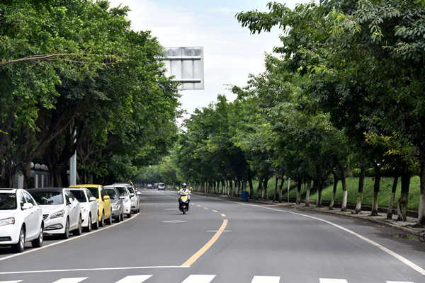 Bevictor伟德官网-韦德(中国)体育-伟大始于1946