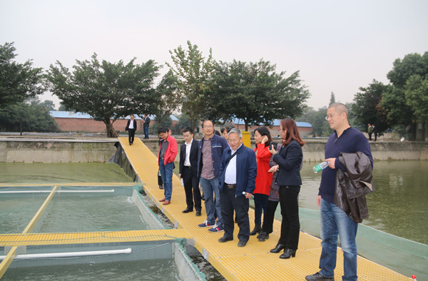 Bevictor伟德官网-韦德(中国)体育-伟大始于1946