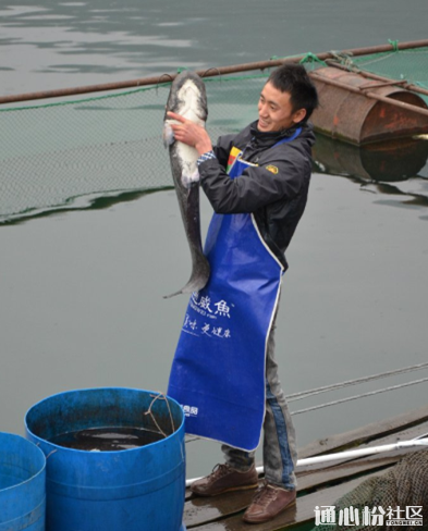 Bevictor伟德官网-韦德(中国)体育-伟大始于1946