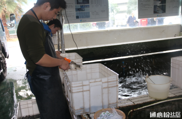 Bevictor伟德官网-韦德(中国)体育-伟大始于1946