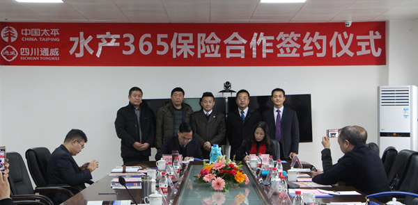 Bevictor伟德官网-韦德(中国)体育-伟大始于1946