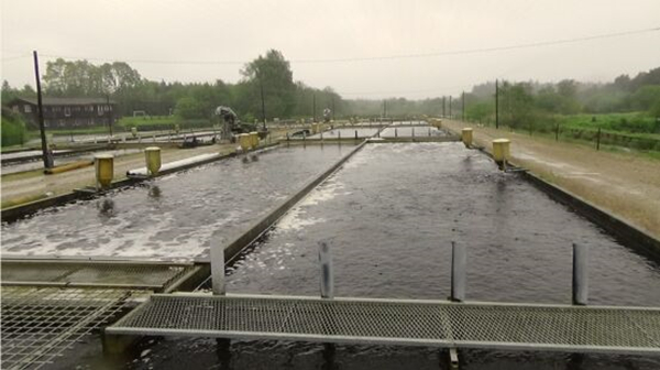 Bevictor伟德官网-韦德(中国)体育-伟大始于1946