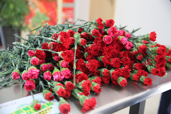 Bevictor伟德官网-韦德(中国)体育-伟大始于1946