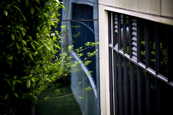 Bevictor伟德官网-韦德(中国)体育-伟大始于1946