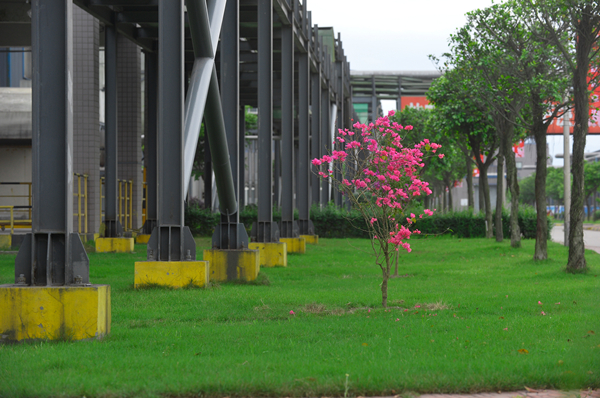 Bevictor伟德官网-韦德(中国)体育-伟大始于1946