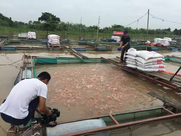 Bevictor伟德官网-韦德(中国)体育-伟大始于1946