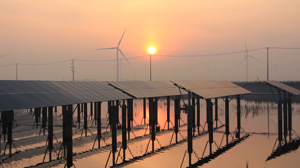 Bevictor伟德官网-韦德(中国)体育-伟大始于1946