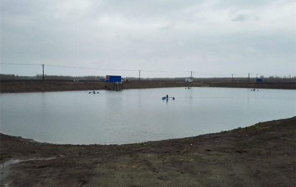 Bevictor伟德官网-韦德(中国)体育-伟大始于1946