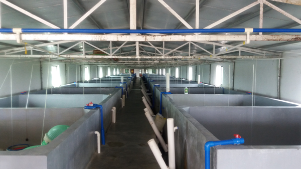 Bevictor伟德官网-韦德(中国)体育-伟大始于1946